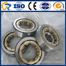 full completement cylindrical roller bearing RS-5076